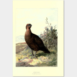 Grouse Posters and Art