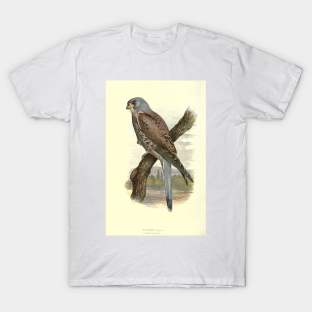 Kestrel T-Shirt by Jeramy's Store 1
