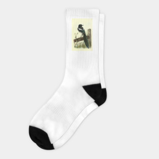 Magpie Socks