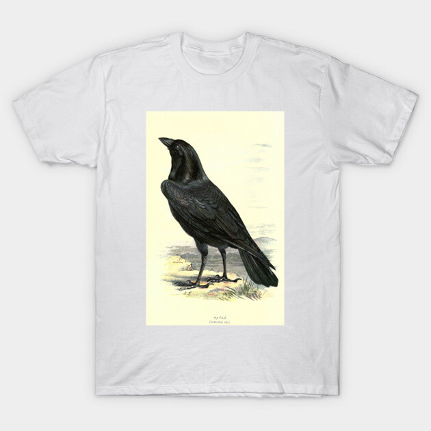 Raven T-Shirt by Jeramy's Store 1