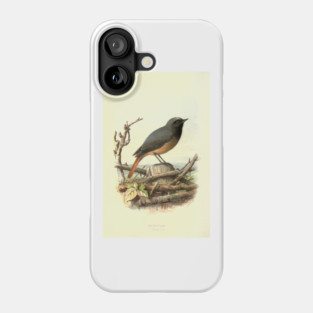 Redstart Phone Case