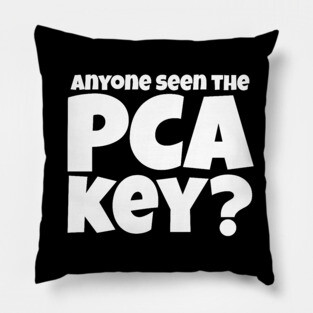 Anyone Seen the PCA Key? Nurse Gift Pillow