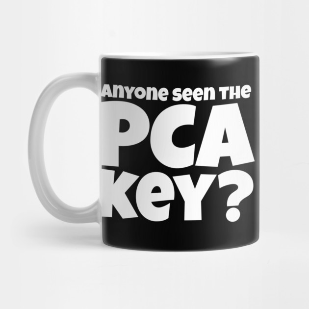 Anyone Seen the PCA Key? Nurse Gift by belownormal