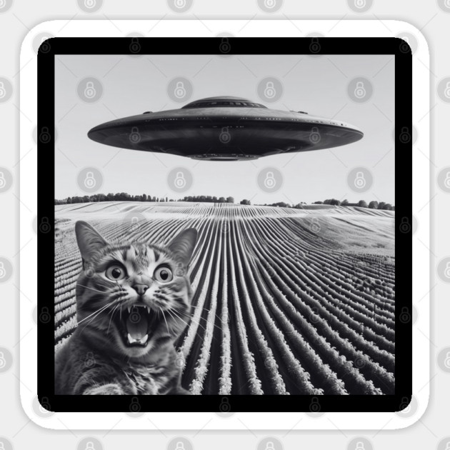 Cat Taking A Selfie With The UFO Sticker by Creatifly Graphic Tees