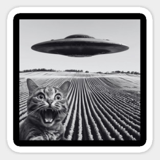 Cat Taking A Selfie With The UFO Magnet