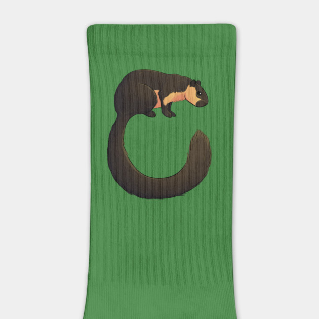 Malayan Giant Squirrel by DeguArts