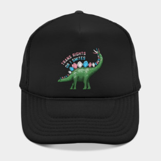 Trans Rights Or I Smites Hat
