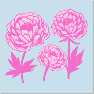 Pink Peony Floral Bloom Art Posters and Art