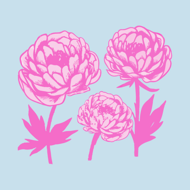 Pink Peony Floral Bloom Art by DonWillisJrArt