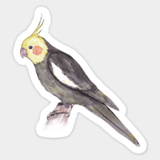 Cockatiel Magnet