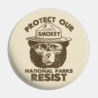 Vintage  Smokey the Bear Resist Pin