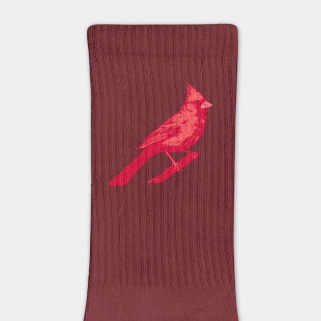 Bold Red Cardinal on Branch – Striking Bird Art by DonWillisJrArt