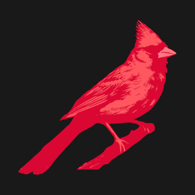 Bold Red Cardinal on Branch – Striking Bird Art by DonWillisJrArt