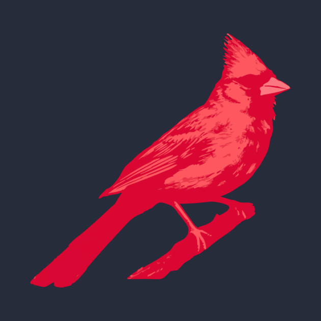 Bold Red Cardinal on Branch – Striking Bird Art by DonWillisJrArt