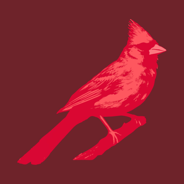 Bold Red Cardinal on Branch – Striking Bird Art by DonWillisJrArt