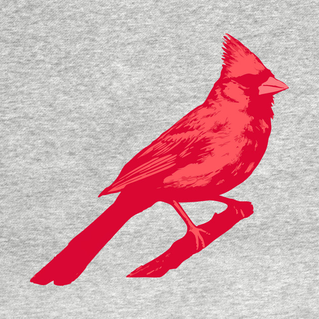 Bold Red Cardinal on Branch – Striking Bird Art by DonWillisJrArt