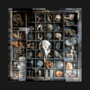 Curio Box #2 T-Shirt