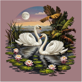 Two White Swans with Lilly Pads Posters and Art