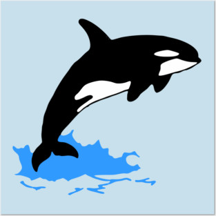 Killer Whale – Orca Leaping from Water, Cool Sea Creature for Coastal Vibes Posters and Art