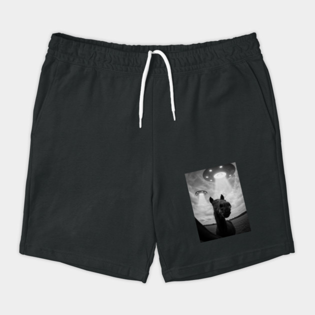 Funny Horse Selfie with UFOs on a Farm by Megadorim