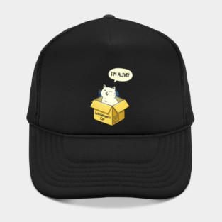 Schrödinger's Cat Tee - Paradoxically Purrfect Design Hat