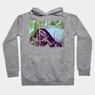 Turtle Hoodie