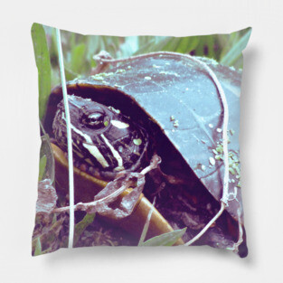 Turtle Pillow