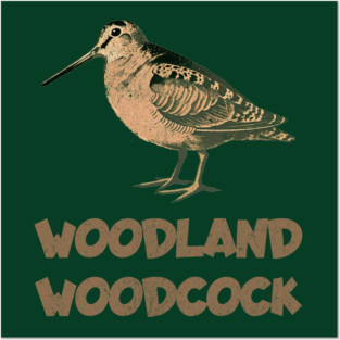 Woodland Woodcock Posters and Art