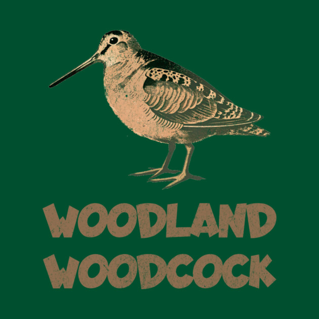 Woodland Woodcock by DonWillisJrArt
