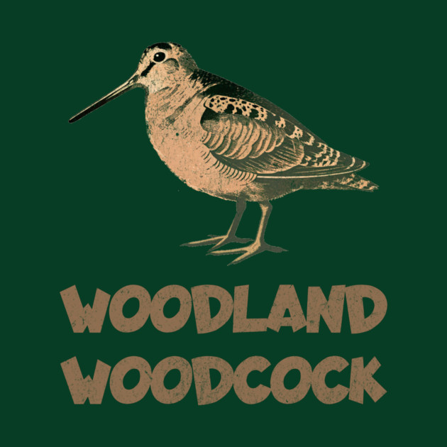 Woodland Woodcock by DonWillisJrArt