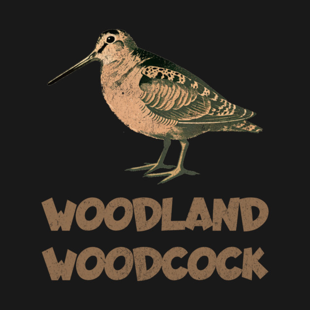 Woodland Woodcock by DonWillisJrArt