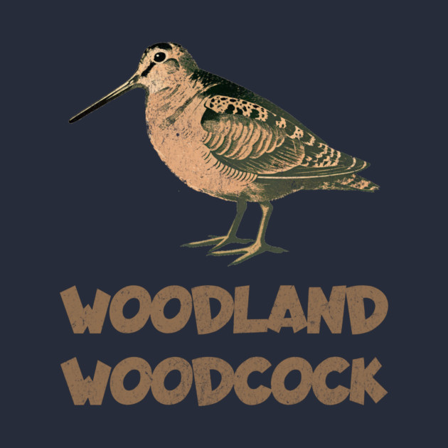Woodland Woodcock by DonWillisJrArt