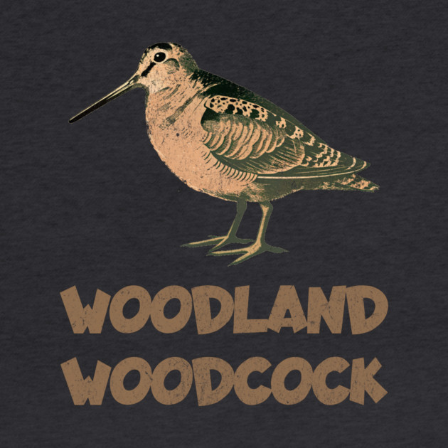 Woodland Woodcock by DonWillisJrArt