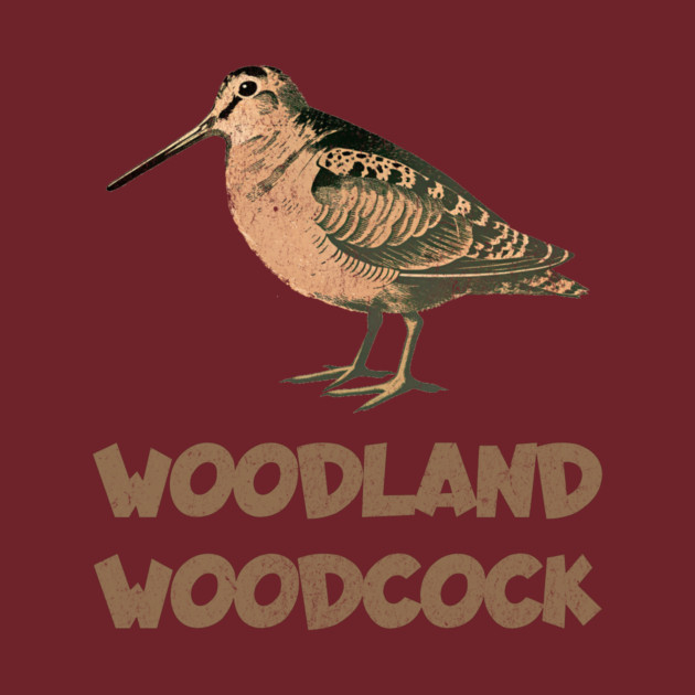 Woodland Woodcock by DonWillisJrArt