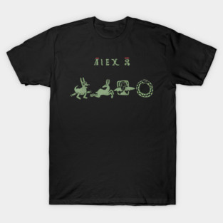Alex G Merch T-Shirt