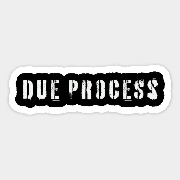 Due Process Magnet by Camp Happy Hour