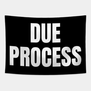 Due Process Tapestry