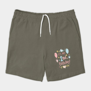 Two-riffic Birthday Tee - Level 2 Unlocked! Festive Second Birthday Fun Shorts