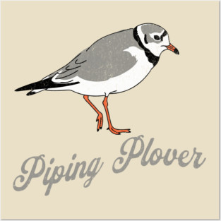 Piping Plover Stroll – Coastal Charm in Every Step Posters and Art