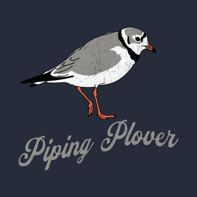 Piping Plover Stroll – Coastal Charm in Every Step by DonWillisJrArt