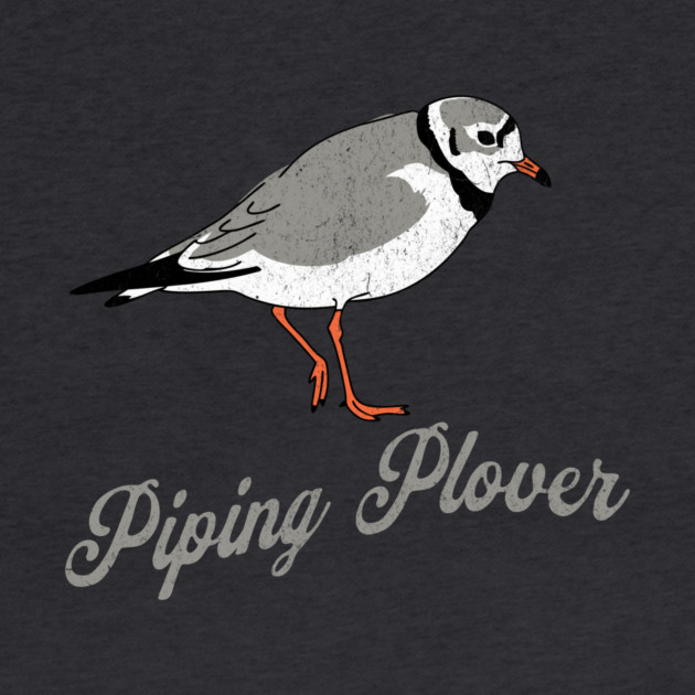 Piping Plover Stroll – Coastal Charm in Every Step by DonWillisJrArt