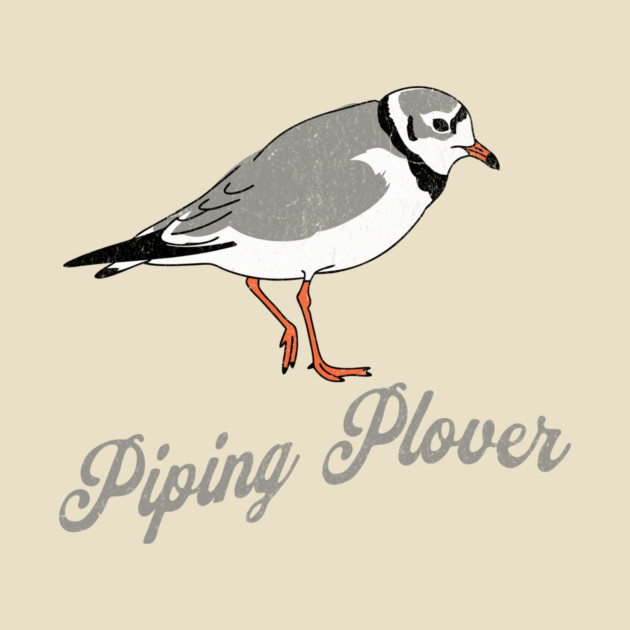 Piping Plover Stroll – Coastal Charm in Every Step by DonWillisJrArt