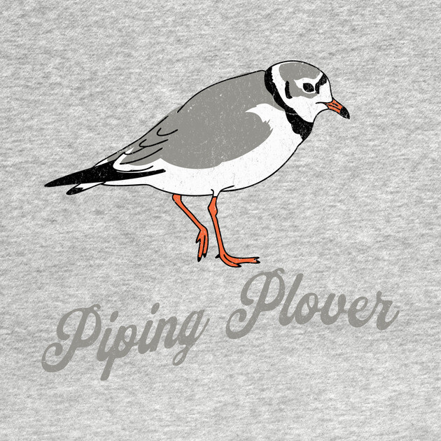 Piping Plover Stroll – Coastal Charm in Every Step by DonWillisJrArt