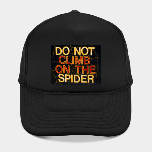 do not climb on the spider by Wiley