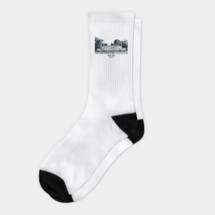 Niles - Illinois Socks