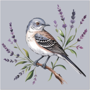 Northern Mockingbird Among Wildflowers Posters and Art
