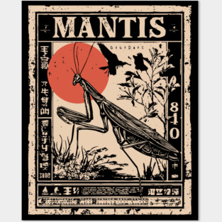 Praying Mantis Monochrome Nature Poster Posters and Art
