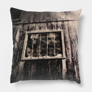 Creepy Building Pillow