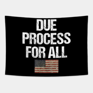Due Process For All Tapestry