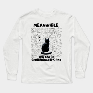 Quantum Physics Teacher Meanwhile Cat In Schrodinger's Box Long Sleeve T-Shirt
